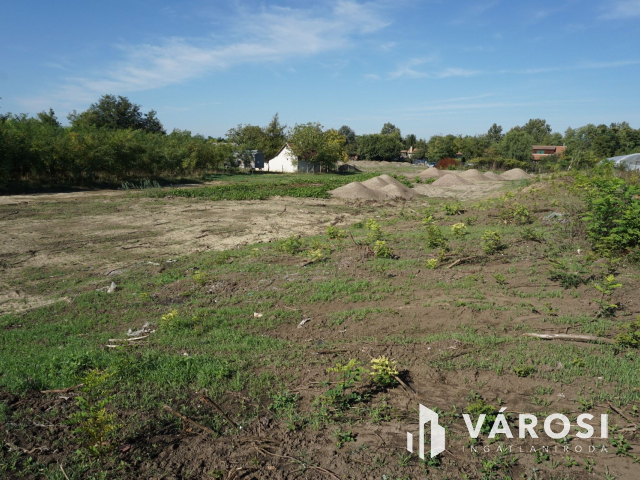 5176 m2 telek több lehetőséggel Gyulán!