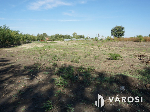 5176 m2 telek több lehetőséggel Gyulán!