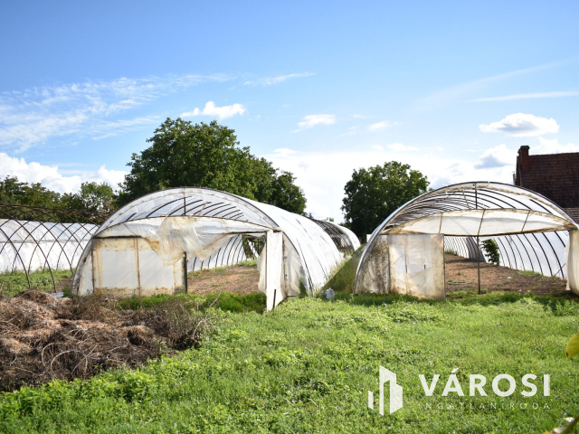 Kiváló lehetősség termelőknek!