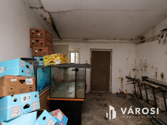 Békéssámsoni major