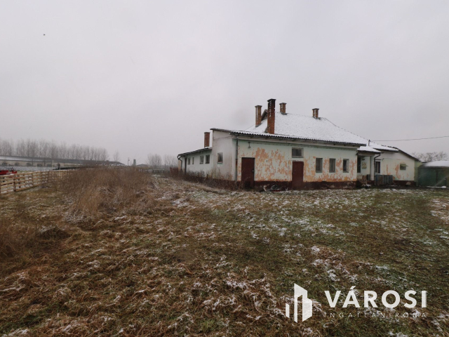 Békéssámsoni major