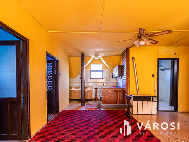 Két generációs ritkaság Sarkadon