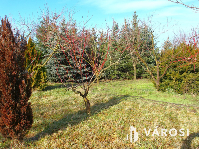 Két lakóingatlan a város peremén, értékes ipari területen