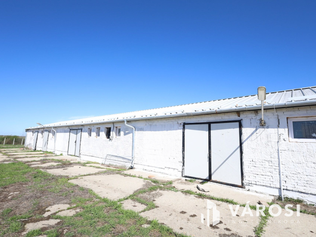 Eladó sertéstelep Szeghalom határában 11 ha területen