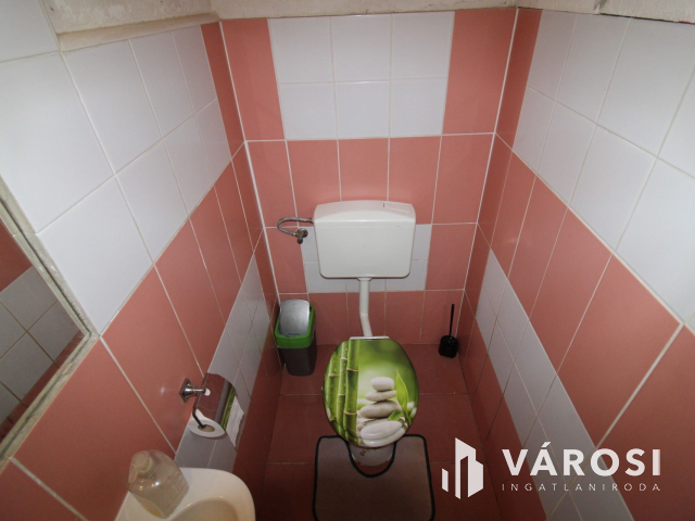 Ház tele lehetőségekkel, nagy telekkel, melléképülettel.