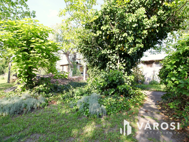 Ha már unja a város zaját…