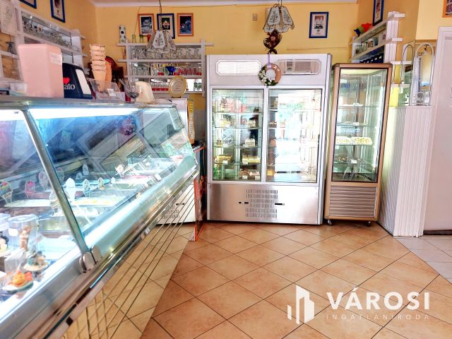 Háromszintes Belvárosi Családi Ház Békéscsaba Szívében