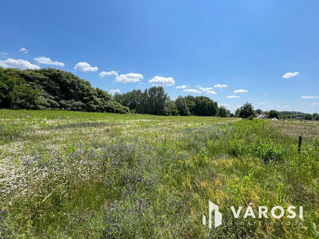 3 hektáros ipari terület Debrecenben!