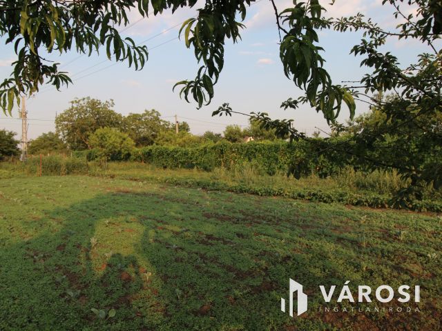 Almáskertekben 4 zárt kert egyben