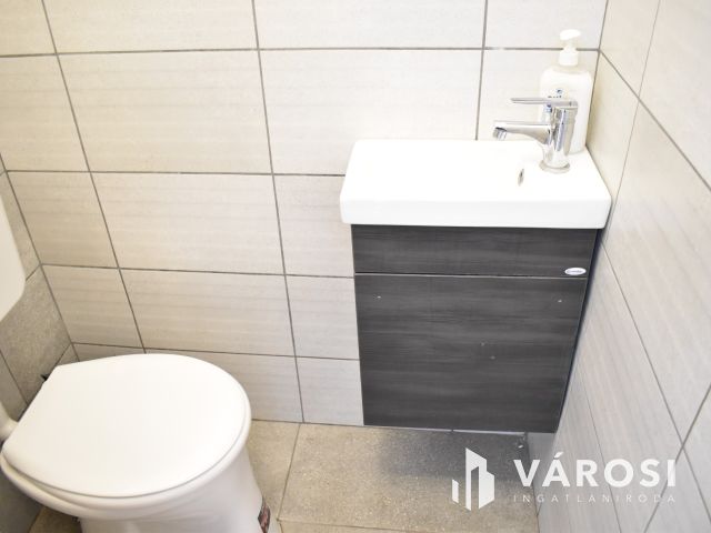 Bejáratott apartman saját vendégkörrel!