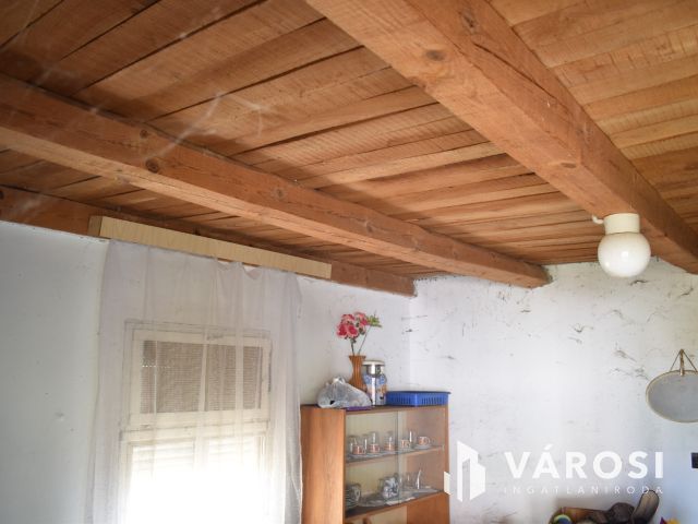 Minden egy helyen, egy igazi tanyán!