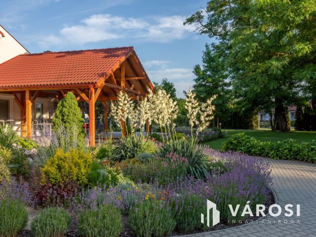 Egyedülálló lehetőség!