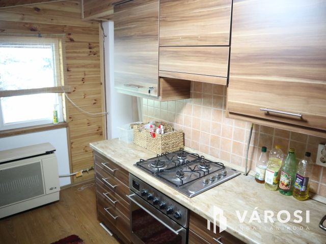 Szatymazi családi ház erdővel!