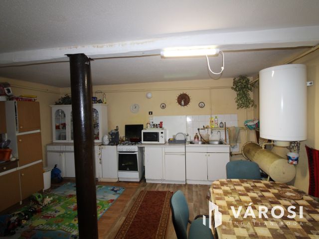 Szanazughoz közeli tanya eladó.