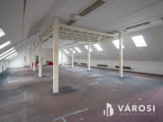 Ipari ingatlan, többcélú hasznosításra