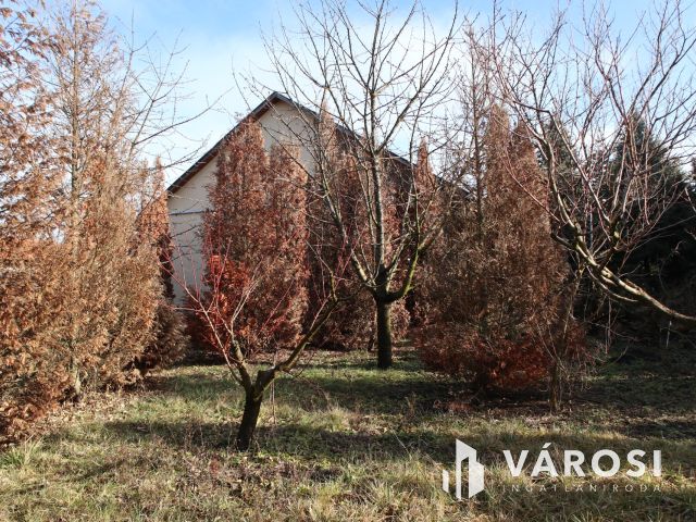 Egy lakóingatlan + egy gyártó üzem, értékes ipari területen