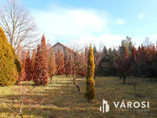 Egy lakóingatlan + egy gyártó üzem, értékes ipari területen