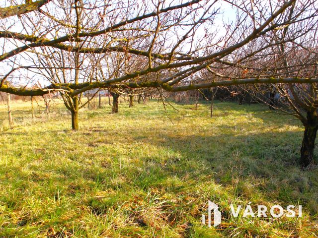 Egy lakóingatlan + egy gyártó üzem, értékes ipari területen