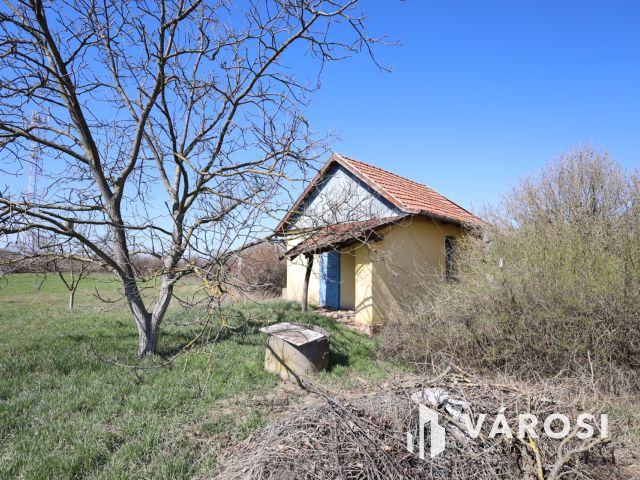 Eladó telek a gyulai ipari parkban