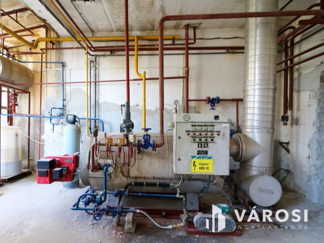 Eladó ipari ingatlan – nagy terekkel és saját kúttal!