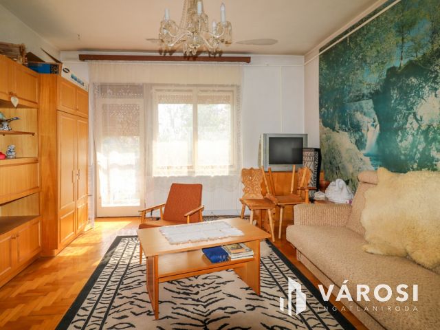 Tágas családi ház nagy telekkel