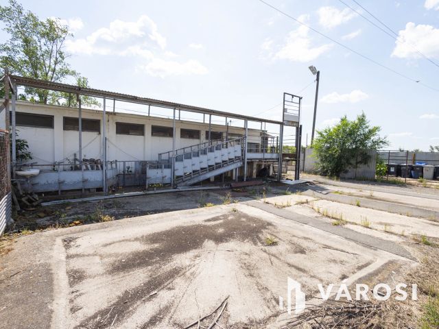 Vágóhíd és húsfeldolgozó üzem