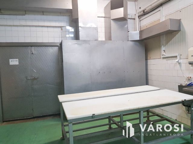 Vágóhíd és húsfeldolgozó üzem