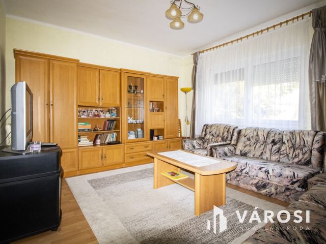 Otthon és vállalkozás a fürdő mellett-Füzesgyarmat