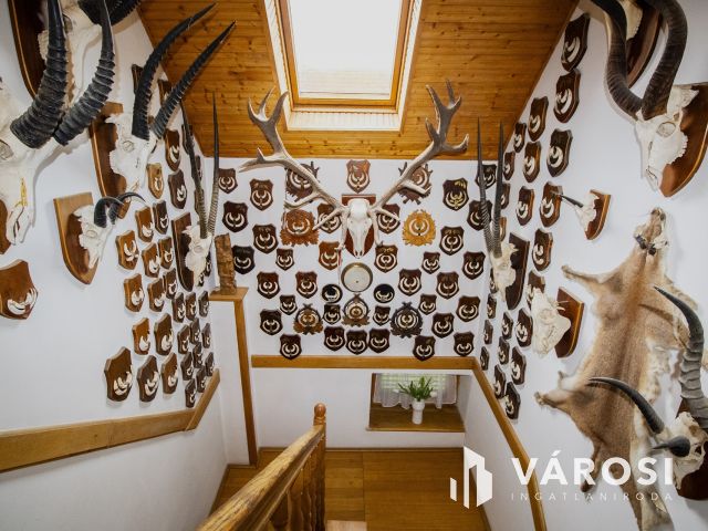 Napelemes, 2 szintes családi ház, haszonélvezettel Gyulán