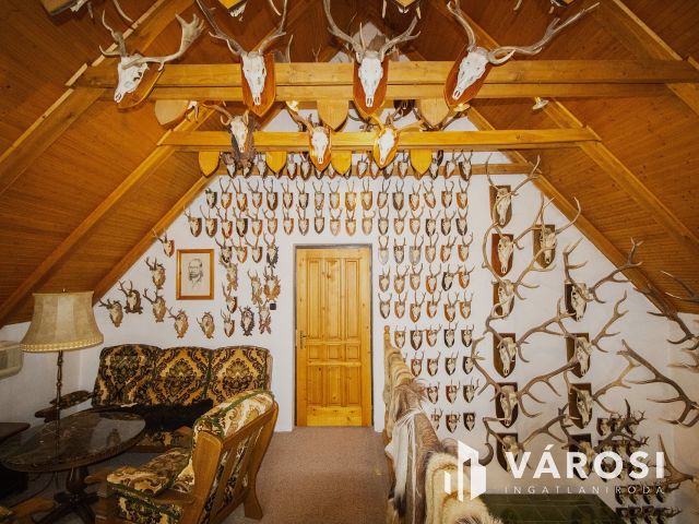 Napelemes, 2 szintes családi ház, haszonélvezettel Gyulán