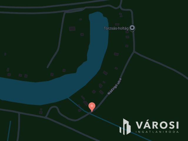 Telek a Liget Gyógyfürdő és a holtág vonzásában