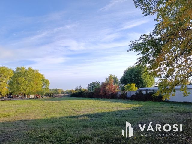 Építési telek csendes helyen eladó!