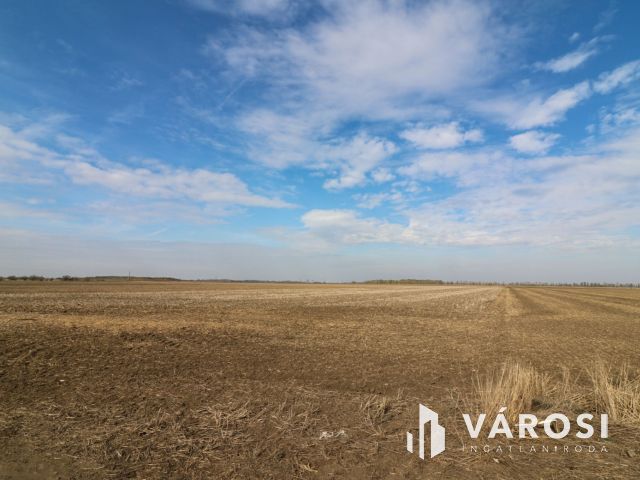 Eladó szántó Nagyszénás közelében