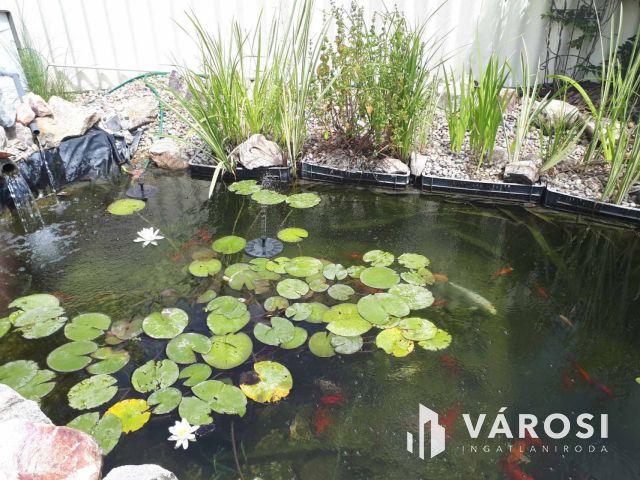 Az év szállása eladó! Apartmanház a fürdő mellett