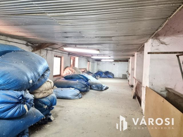 Eladó ipari ingatlan – nagy terekkel és saját kúttal!