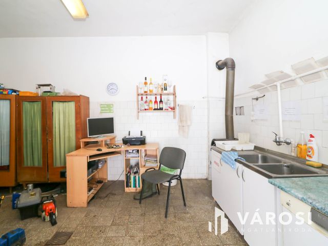 Eladó borászati ingatlan Csongrád közelében