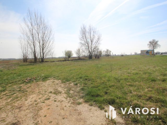 Építési telek vállalkozásoknak, Sárváron