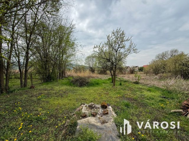 Karancslapujtőn főútvonal mellett családi ház eladó!