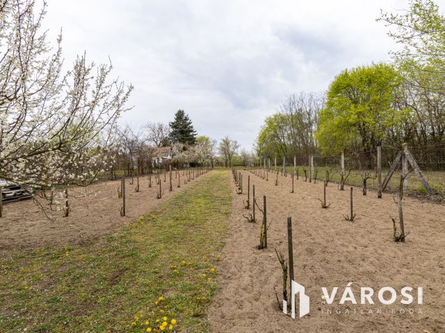 Művelés alól kivont zártkert, Szentmártonkátán eladó