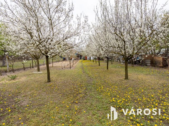 Művelés alól kivont zártkert, Szentmártonkátán eladó